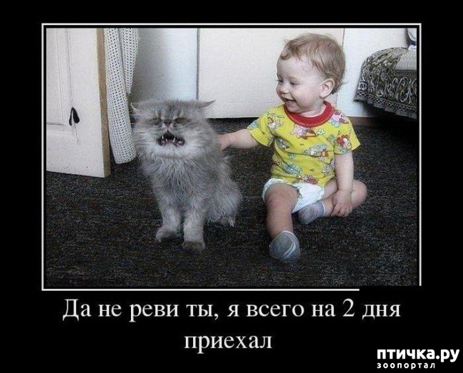 ���� 3: ��������� �����������: ����� � �����.