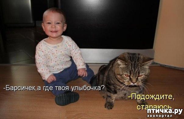 ���� 4: ��������� �����������: ����� � �����.