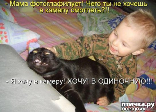 ���� 5: ��������� �����������: ����� � �����.