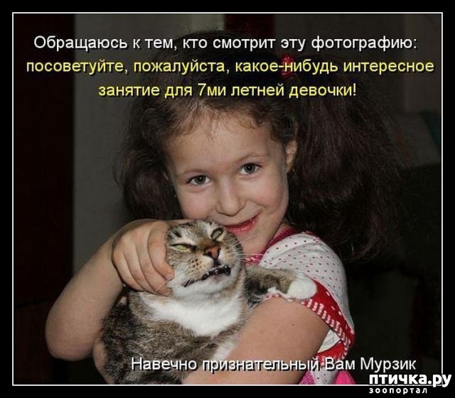 ���� 6: ��������� �����������: ����� � �����.