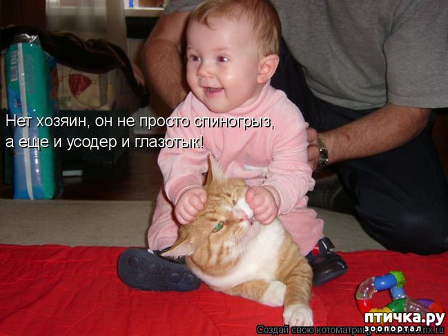 ���� 7: ��������� �����������: ����� � �����.