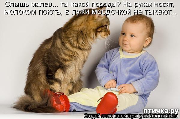 ���� 8: ��������� �����������: ����� � �����.