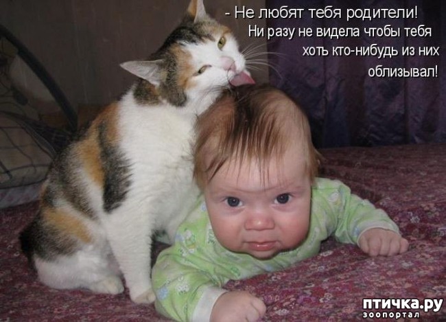 ���� 9: ��������� �����������: ����� � �����.