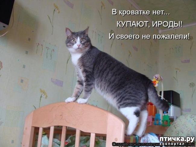 ���� 10: ��������� �����������: ����� � �����.