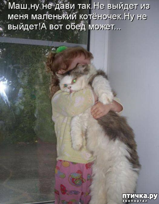 ���� 11: ��������� �����������: ����� � �����.