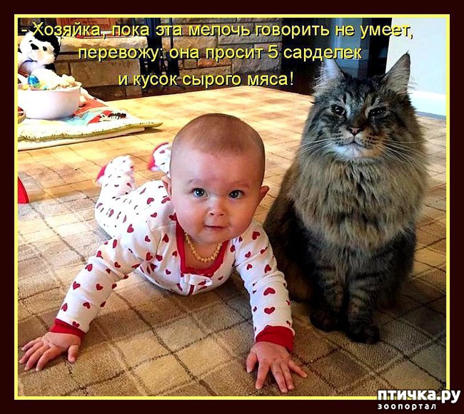 ���� 13: ��������� �����������: ����� � �����.