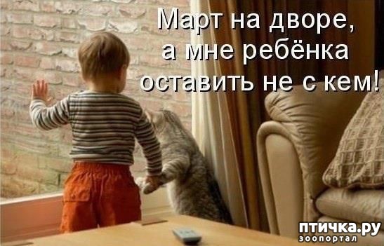 ���� 16: ��������� �����������: ����� � �����.