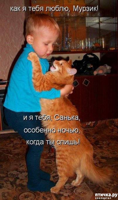 ���� 17: ��������� �����������: ����� � �����.