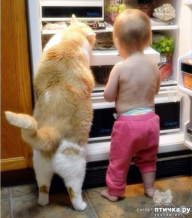 ���� 18: ��������� �����������: ����� � �����.