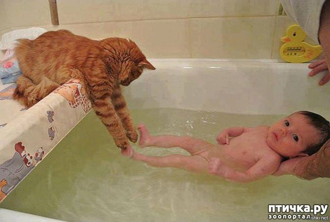 ���� 19: ��������� �����������: ����� � �����.