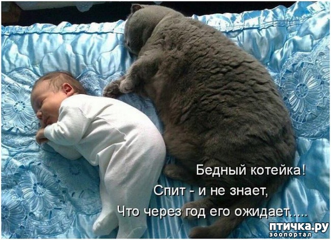 ���� 20: ��������� �����������: ����� � �����.