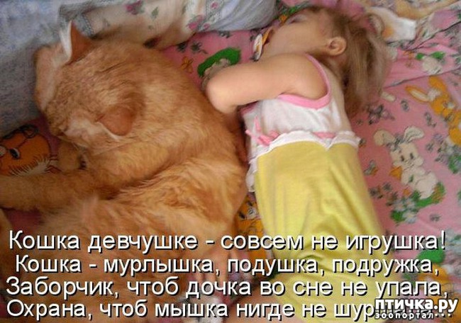 ���� 21: ��������� �����������: ����� � �����.