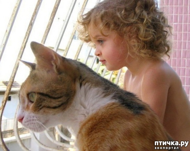 ���� 23: ��������� �����������: ����� � �����.