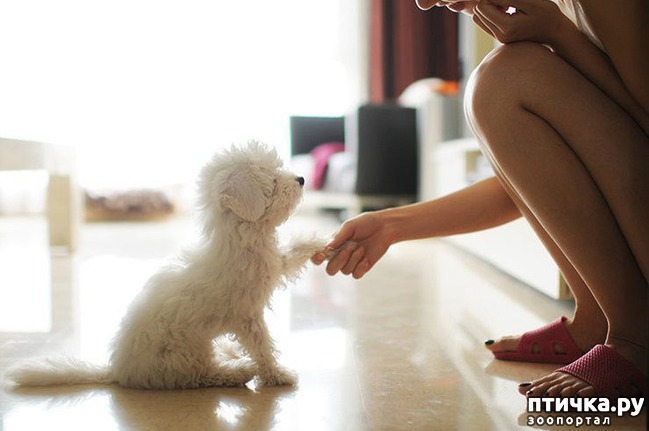 ���� 1: ������� ��������� � ������ ����, ����� ������� ��������� �������)