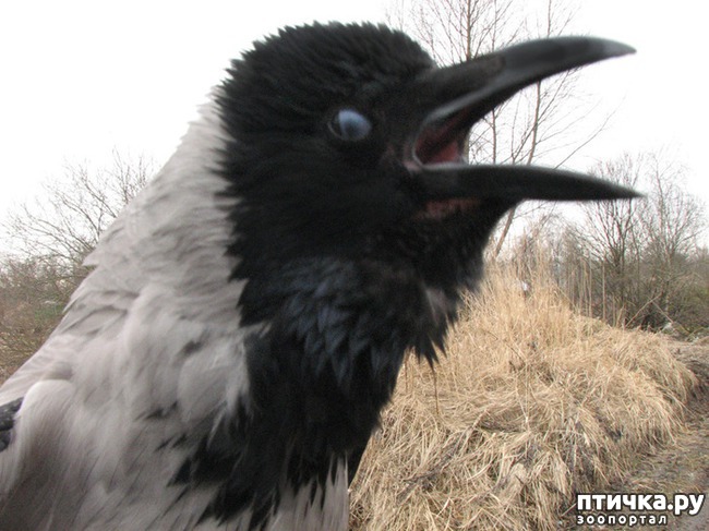 ���� 2: ���� ��-�������