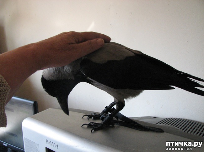 ���� 3: ���� ��-�������