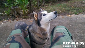 ����: ���������� �����, �� �� ������ ��������