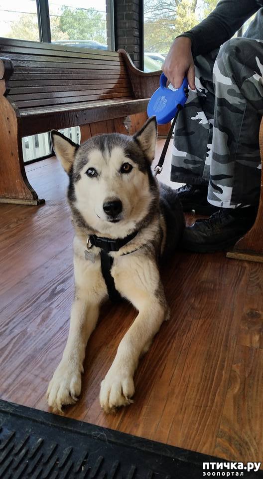 ���� 2: ���������� �����, �� �� ������ ��������