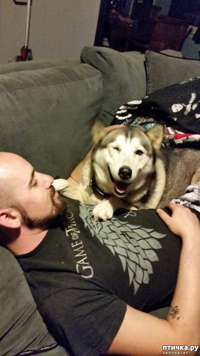 ���� 3: ���������� �����, �� �� ������ ��������