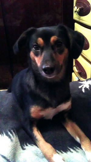 ����: � ����� �����!