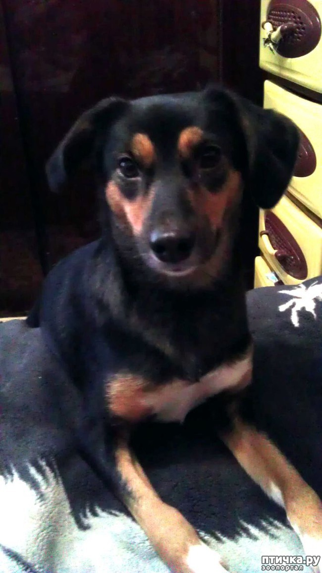 ���� 1: � ����� �����!