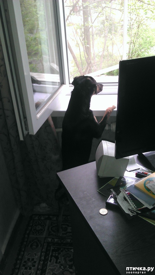 ���� 2: � ����� �����!