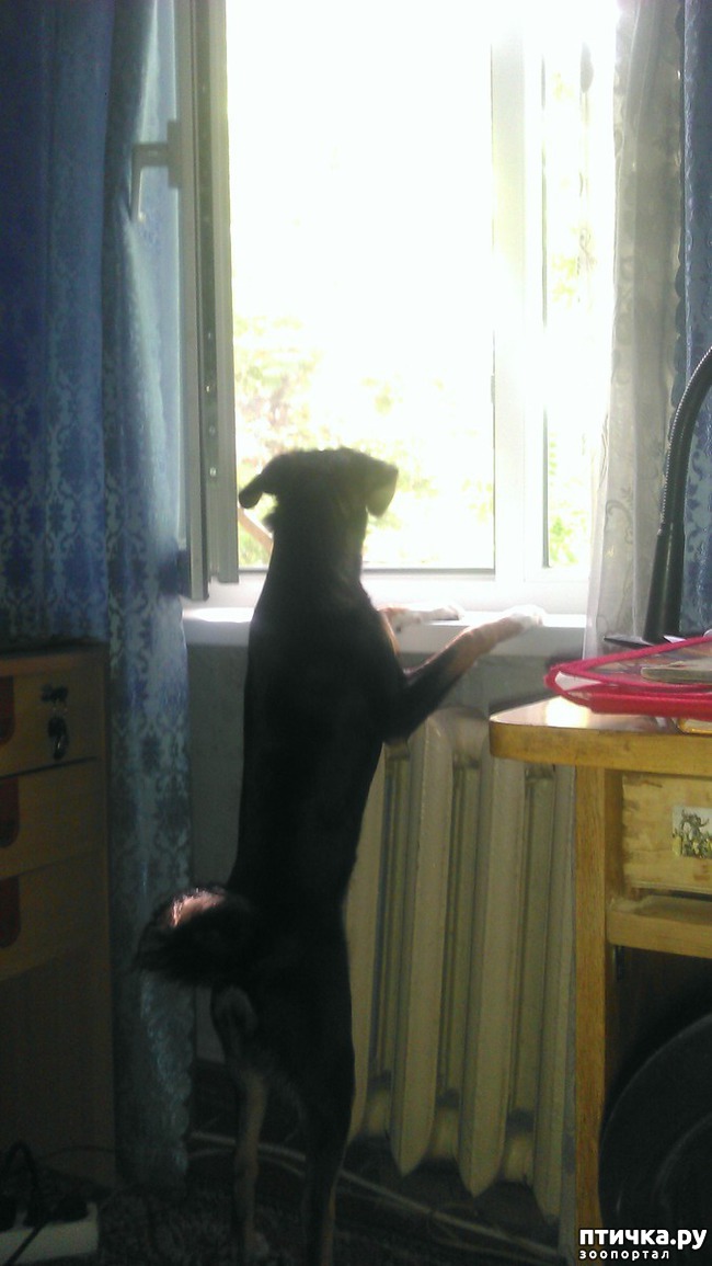 ���� 3: � ����� �����!