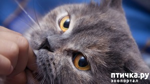 ����: ��� �������� � �����? ���� � �����������