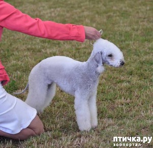 ����: ����������� ��������� �����. �������� ���� (����� 1)