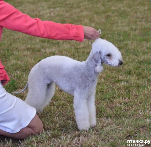 ���� 1: ����������� ��������� �����. �������� ���� (����� 1)