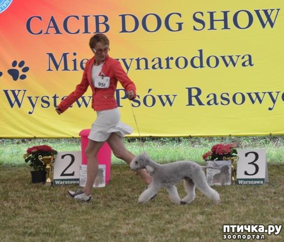 ���� 3: ����������� ��������� �����. �������� ���� (����� 1)