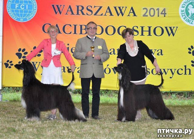 ���� 4: ����������� ��������� �����. �������� ���� (����� 1)