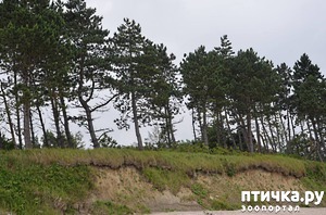 фотография: Приключения Шелкового Ветра. Польский вояж (часть 2) фото: Приключения Шелкового Ветра. Польский вояж (часть 2)