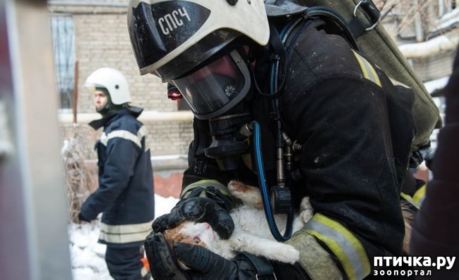 ���� 1: ������ ������ ��� ����