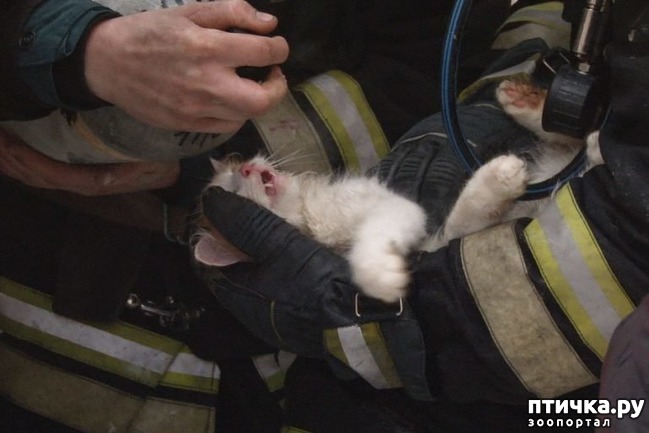 ���� 2: ������ ������ ��� ����