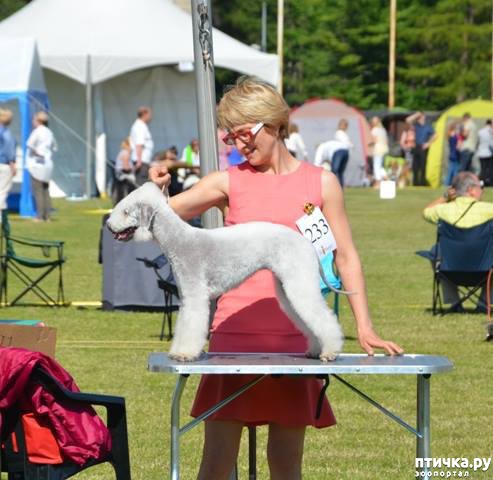 ���� 2: ����������� ��������� �����. ����������, ����������, ����������...