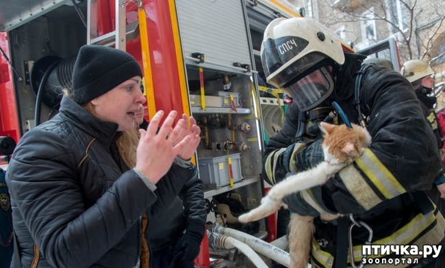 ���� 3: ������ ������ ��� ����