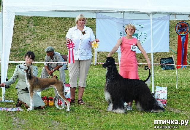 ���� 3: ����������� ��������� �����. ����������, ����������, ����������...