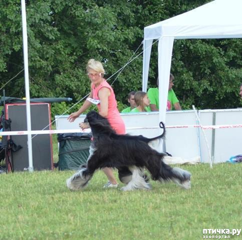 ���� 4: ����������� ��������� �����. ����������, ����������, ����������...