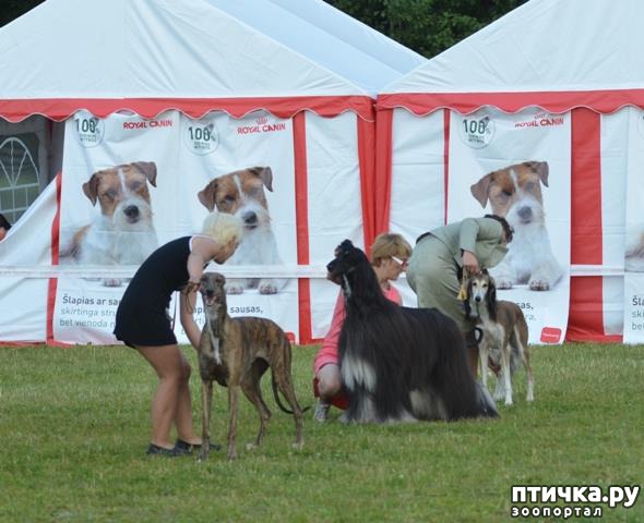 ���� 5: ����������� ��������� �����. ����������, ����������, ����������...