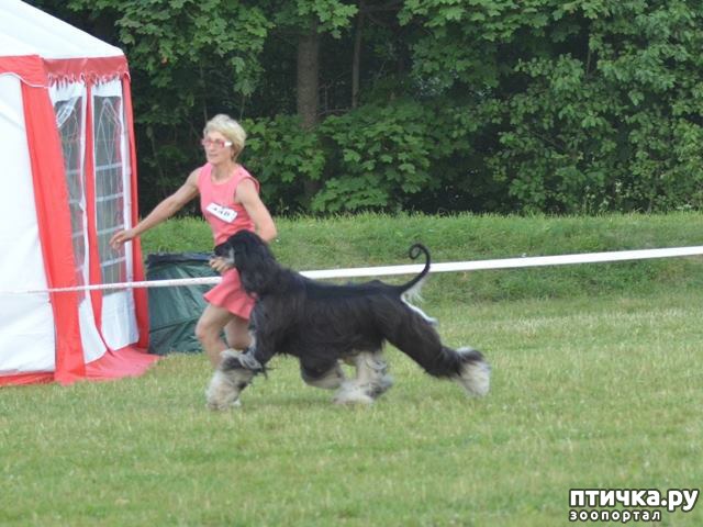 ���� 6: ����������� ��������� �����. ����������, ����������, ����������...