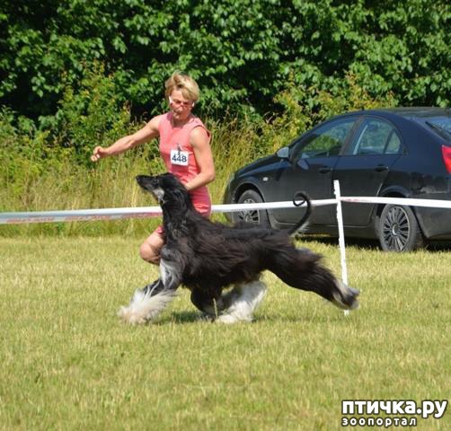 ���� 7: ����������� ��������� �����. ����������, ����������, ����������...