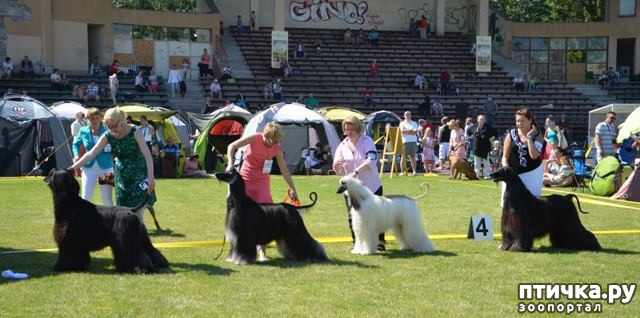 ���� 9: ����������� ��������� �����. ����������, ����������, ����������...