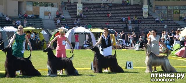 ���� 10: ����������� ��������� �����. ����������, ����������, ����������...