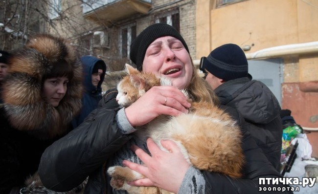 ���� 4: ������ ������ ��� ����