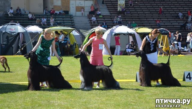 ���� 11: ����������� ��������� �����. ����������, ����������, ����������...