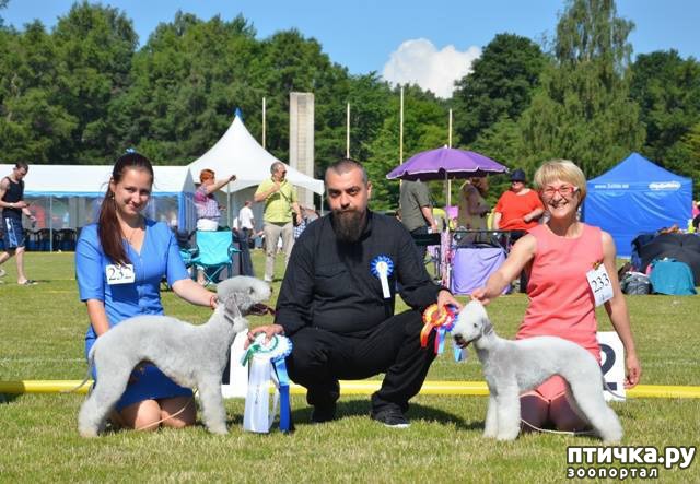 ���� 12: ����������� ��������� �����. ����������, ����������, ����������...