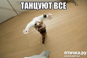 ����: ������� ���!