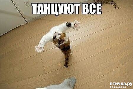 ���� 1: ������� ���!