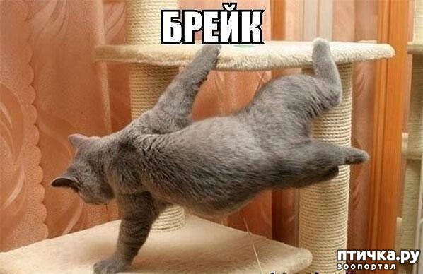 ���� 3: ������� ���!